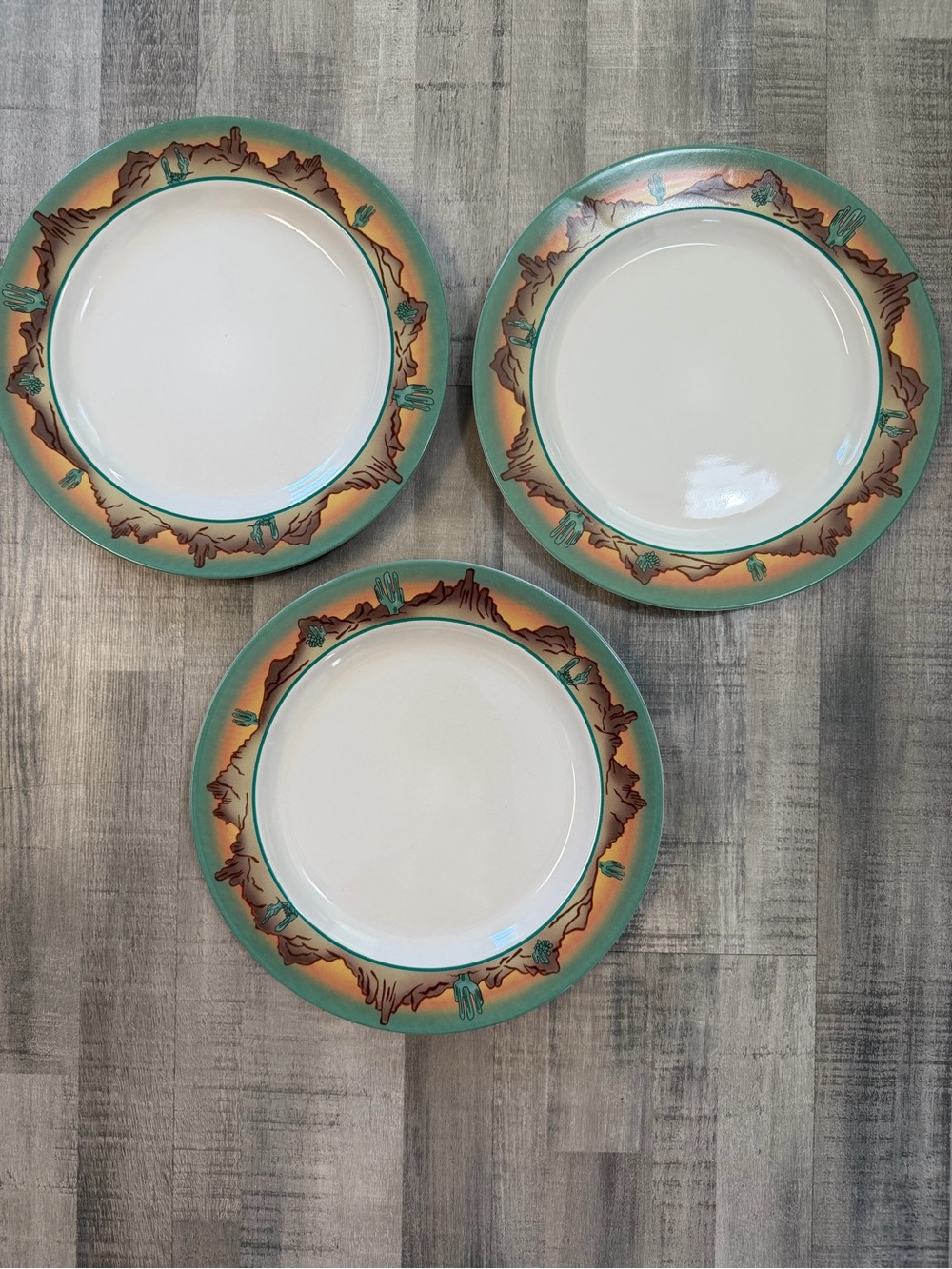 Set of 3 Desert Southwest Cactus Dinner Plates 11” Meiwa Southwestern Stoneware